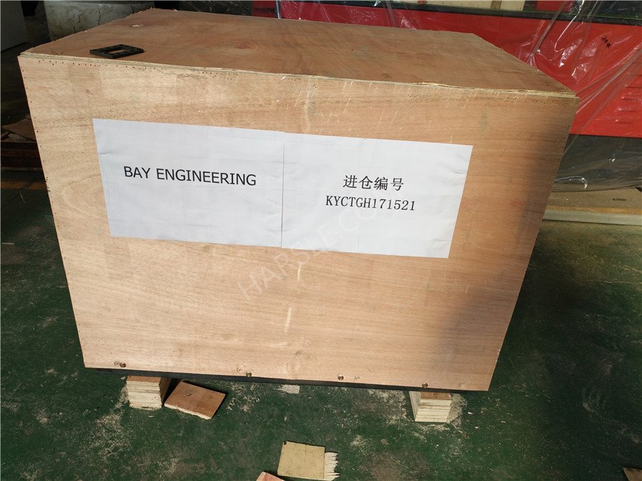 Bangladesh- riveting machine-171208 (4) 孟加拉国铆接机-171208(4)