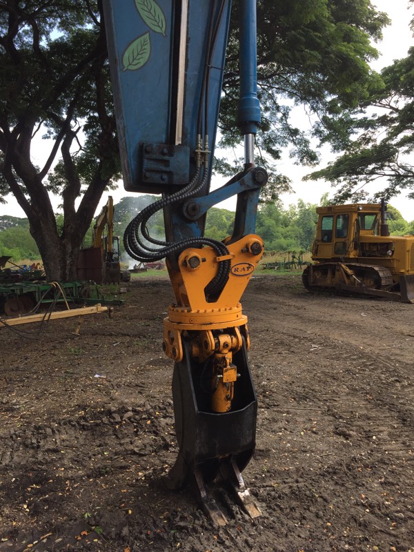 garra de madeira.png