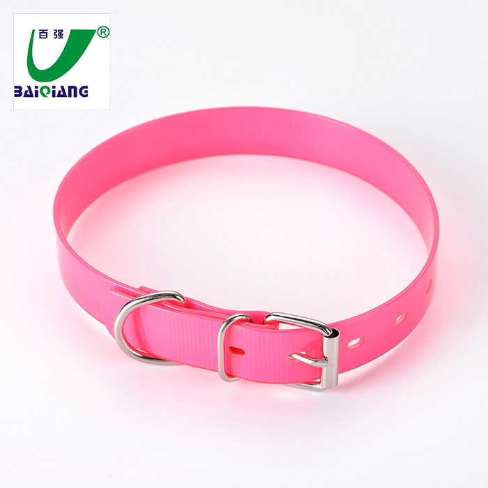 Dayglo dog collars wholesale Clearance