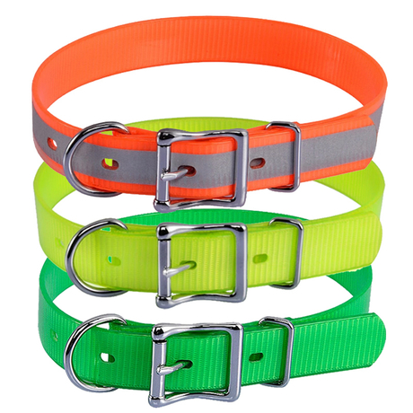 dayglo dog collars