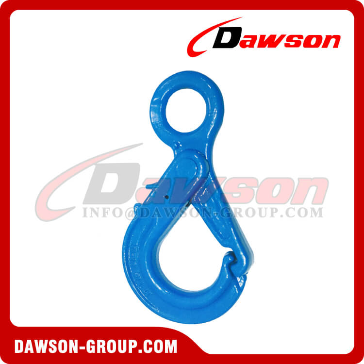 DS1016 G100 Special Eye Sling Self-locking Hook - Dawson Group Ltd. - China Manufacturer, Factory