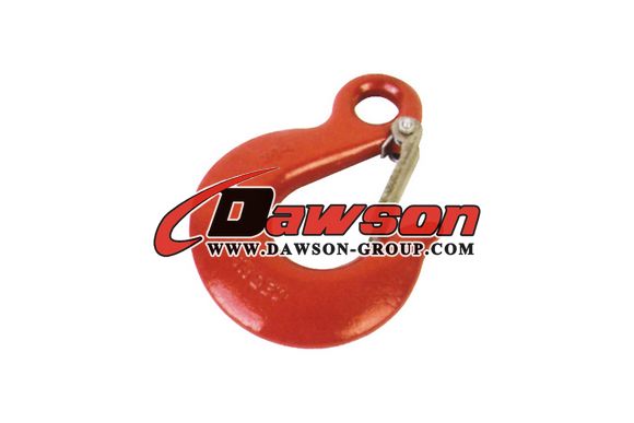 DS-Eye Slip Hooks with Latches - Dawson Group Ltd. - China Manufacturer, Supplier, Factory
