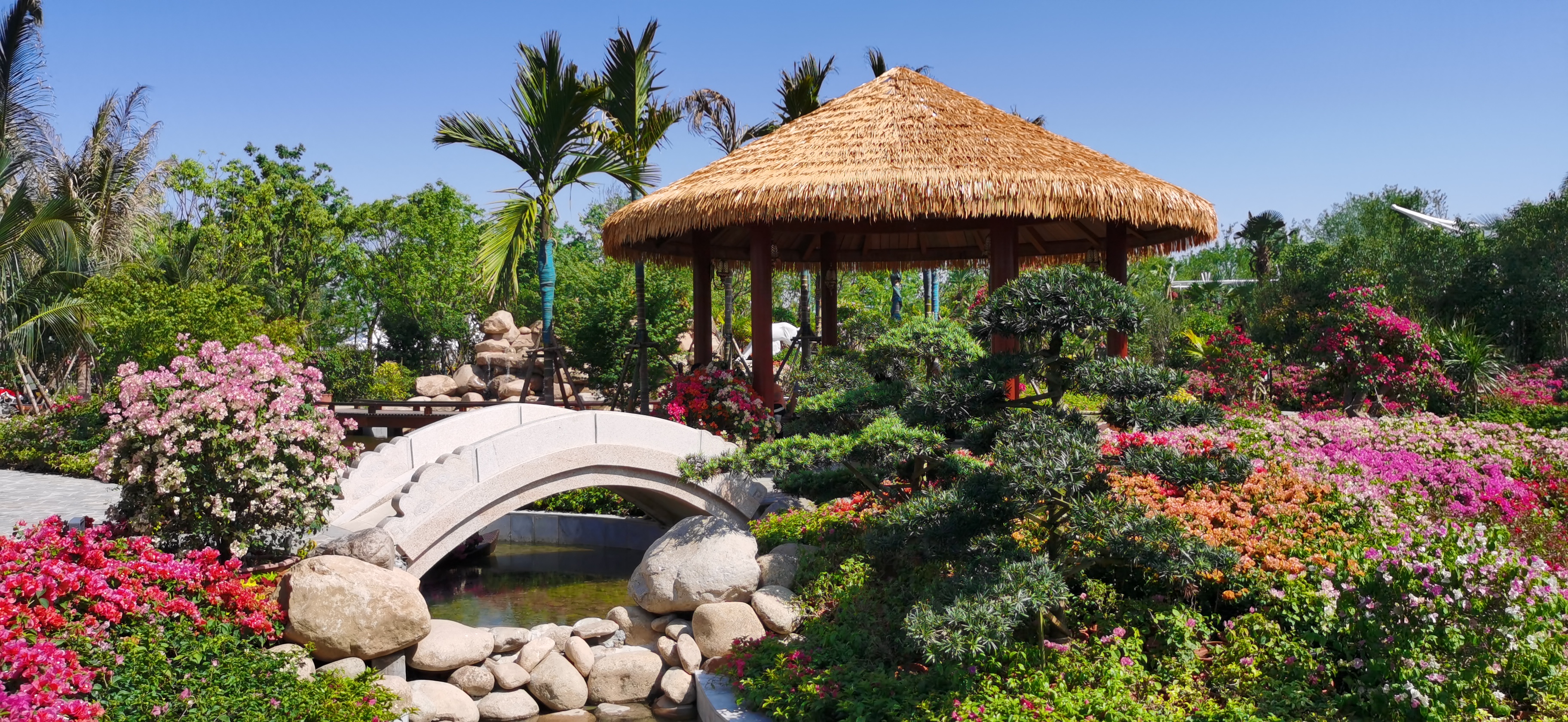 微信圖片_20210609084247