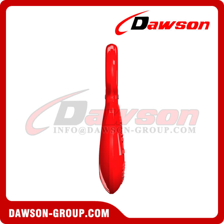 G80 Eye Sling Hook, Grade 80 Alloy Steel Eye Sling Hook with Latch for Chain Slings - Dawson Group Ltd. - China Supplier
