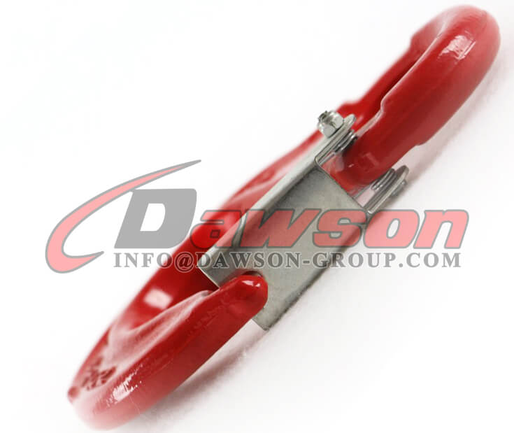 DS013 Grade 80 Forged Steel Eye Sling Hook with Latch - Dawson Group Ltd. - China Supplier
