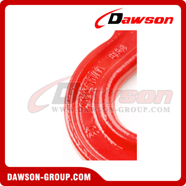 DS013 G80 Eye Sling Hooks With Safety Latch - Dawson Group Ltd. - China Factory
